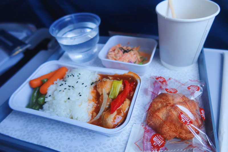 first meal on the plane to ICN! sweet & sour chicken with cooked vegetables, mayo-kimchi cabbage salad, and a macaroon.